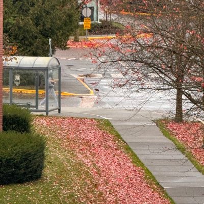 Ebrahim_Rage's profile picture. 