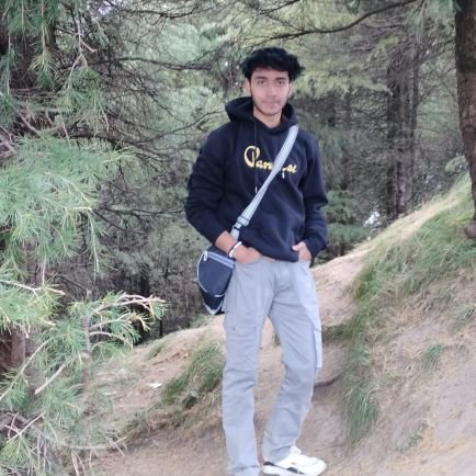 Gaurav27Spark's profile picture. B-tech CSE | Arcade @GoogleCloud Aspirant | Web Development Enthusiast | AI and Cloud  Enthusiast | Technical Writer @ThePracticalDev | Learn in Public 📢