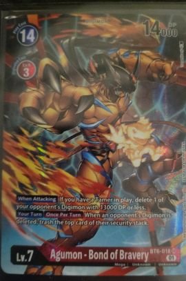 RAZARK_7's profile picture. Opening Digimon card packs and booster boxes
For ones that are into collecting different kinds of sports cards or even TCG cards, you can visit ImperialgardenSC