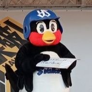 sato28__96's profile picture. 2021年より九州からスワローズ箱推し
🐧⛱️✨
どんな時もポジティブ応燕⚾
無言フォロー失礼します🙏

家族
レオ党パパ🦁
ちなヤクママ🐧（マサさん世代の私）
長男さん🧸（秀樹くん世代）
二男くん🦍（ちょい宗ちゃん似の叶くん世代）

バラエティも好きです📺️
千鳥
かまいたち
ダイアン