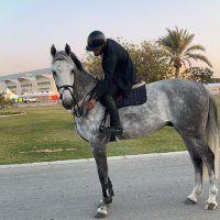 Mohamed omar Omمنجا (@moham74721om) 's Twitter Profile