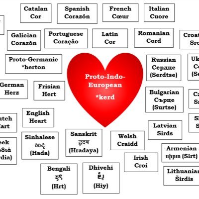 AbidinOzden's profile picture. 