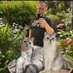 🐶🦄Dr. Rafael Roth🐱🐿 (@rothrafi) Twitter profile photo 🐶🦄Dr. Rafael Roth🐱🐿 (@rothrafi) Twitter profile photo