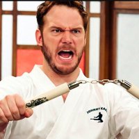 Johnny Karate 🇺🇸 (@_johnnykarate) 's Twitter Profile