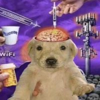 kursisampingtangga (@scumandfilth) 's Twitter Profile