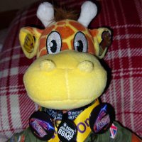 Karen Shortland (@jazzkazz1) 's Twitter Profile Photo Karen Shortland (@jazzkazz1) 's Twitter Profile Photo