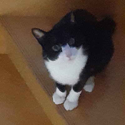 コロコロと好きなものが変わるけど、最近は刀剣乱舞が好きかなあ…
ほとんど閲覧用です。
ピアノを習ってました
今年→社会人になる予定