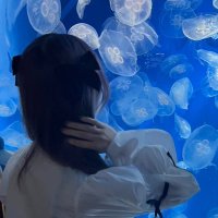 まお (@mao_romantique) 's Twitter Profile