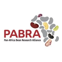 PABRA (@_pabra) 's Twitter Profile