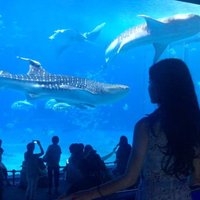 Datough (@datough37659) 's Twitter Profile