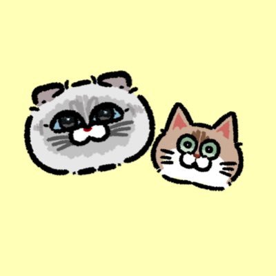 もちさんのプロフィール画像