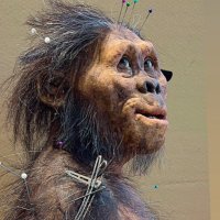 Quagga Sculpture (@_quagga) 's Twitter Profile Photo Quagga Sculpture (@_quagga) 's Twitter Profile Photo