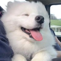 わ (@nekonekoneeeo) 's Twitter Profile