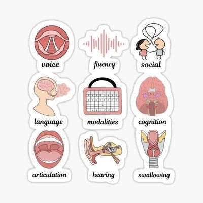 Estudiante de Logopedia UV 🧠🗣
Voz, habla, comunicación, deglución, audición, lectura y escritura.