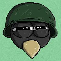 Crow (@crow_on_sol) 's Twitter Profile