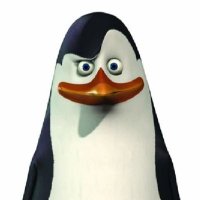 KowalskiAnalysis (@degensigmaboi) 's Twitter Profile