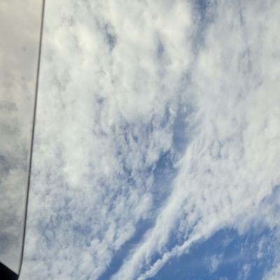 oq30_myrk's profile picture. FTM(胸オペ済み ホル有完パス パイパン×) 158.52 30代  ドMです。 純男さんと繋がりたい。根っからの変〇思考。
愛知