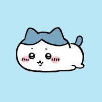 ハチワレ@駆け出しコンサル (@gyarado_s) Twitter profile photo