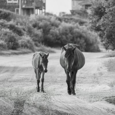 toti2024's profile picture. 