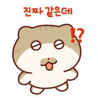 정우 (@_pris01) 's Twitter Profile Photo