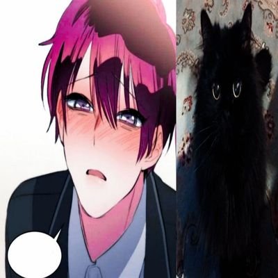 momowip0's profile picture. 