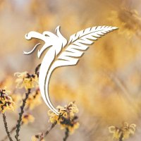 🏴 Gardd Cymru 🌿 Garden of Wales (@walesbotanic) 's Twitter Profile