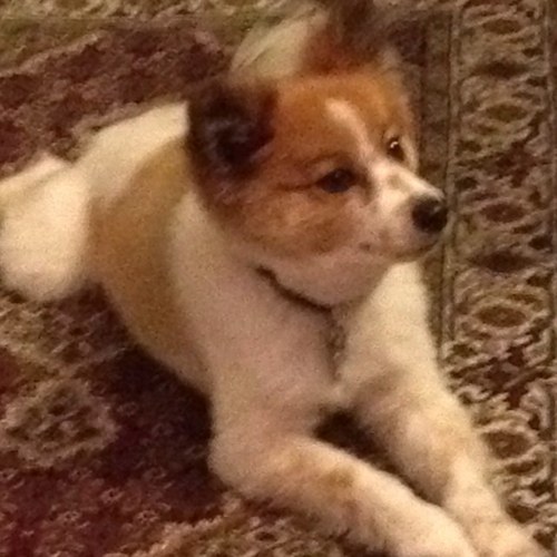 sandykingseattl's profile picture. 