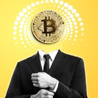 Nadinho Crypto (@nadinhocrypto) 's Twitter Profile