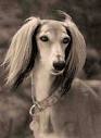 jdtlsprts's profile picture. Reporter at the Effing Journal-Register