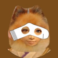 むじゃむじゃ (@mjamjarenren) 's Twitter Profile