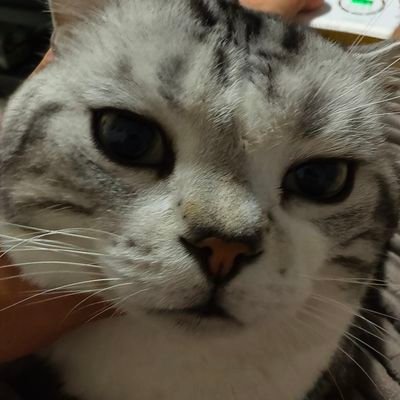 ren20651's profile picture. 