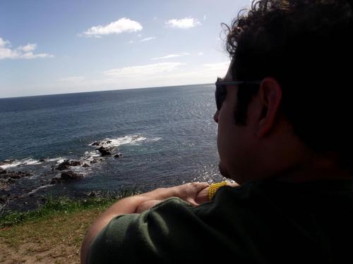 pedrobmp's profile picture. 