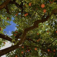 نــجود (@glowyjodi) Twitter profile photo