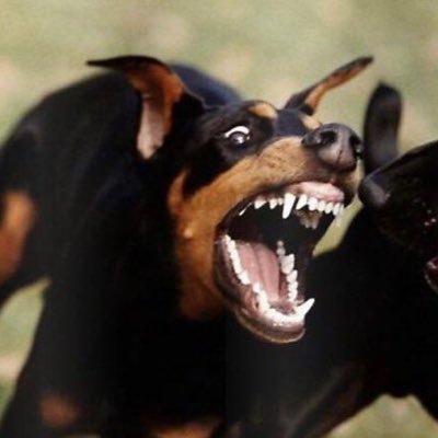 waxttap's profile picture. 