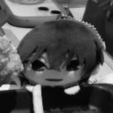 sowbaguy's profile picture. ☺️