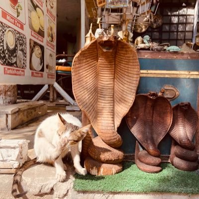 PittSajjot's profile picture. a veces rifo y otras... no tanto...