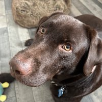 Paul Martin (@paul2peez) 's Twitter Profile