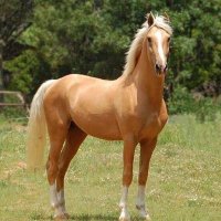 a͕͐h͕͐m͕͐e͕͐d͕͐ ͕͐b͕͐a͕͐l͕͐t͕͐g͕͐ (@ahmed1468) 's Twitter Profile