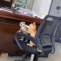 Mr.Hong (@qlrvkdlqlrvkdl) 's Twitter Profile Photo Mr.Hong (@qlrvkdlqlrvkdl) 's Twitter Profile Photo