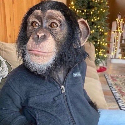 CLASHBAR4's profile picture. (Canadiens de Montréal) (Vitality Easport)