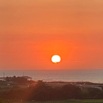 bray_romualdo's profile picture. 👊