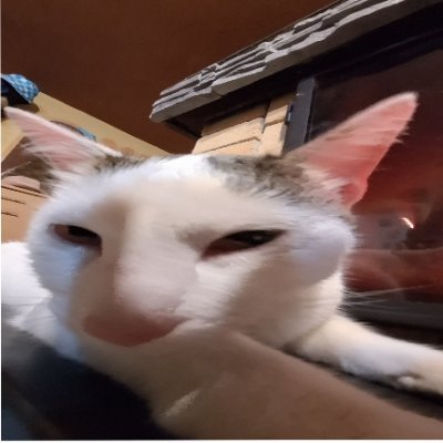 spikerko_'s profile picture. Owner and Creator of Spicy Lyrics