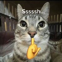 Piko's MT AFTER DM (@sesongwu) 's Twitter Profile