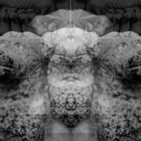 Fenerdrive (@fenerdrive) 's Twitter Profile Photo