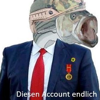 Strategische Operationen | Privatfisch im großen Teich/ Anglerberater / #Körriefluencer / Eagle Squad 🦅/ Satiriker / Management und Booking: @acanvasstares