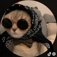 elix (@elix_tes) 's Twitter Profile