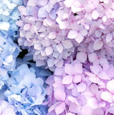 f_haruka_8f82bc's profile picture. WEBデザイナー。ゆるっとマイペースに成長中(Find me!)。30代、3児の母。(アイコンとヘッダはぱくたそから)