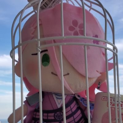 천하인さんのプロフィール画像