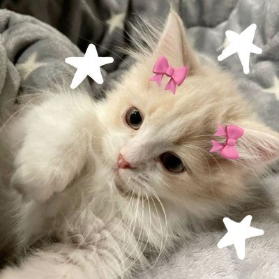 ss_een0's profile picture. ﴿ فَرِحِينَ بِمَا آتَاهُمُ اللَّهُ مِنْ فَضْلِهِ ﴾
"💆🏻‍♀️🩷🩷⏰!!