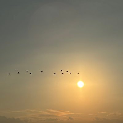 R69Ku's profile picture. 熊本　２０歳大学生 前垢凍結したから作り替えた😋　男の子だよ